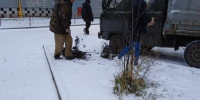 Фото: ЦУР обсуждения - Вологда-поиск