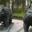 Два медведя - ИА Nord-News.Ru