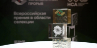 Кубанские селекционеры получили четыре награды премии «Селекционный прорыв – 2026» - Министерство сельского хозяйства