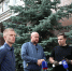 Фотофакт: Деревья спилили на улице Некрасова в Пскове в рамках ее реконструкции - Pln-Pskov.Ru