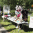 День деревни отмечают в псковской Родине - Pln-Pskov.Ru