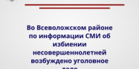 Во Всеволожском районе по информации СМИ об избиении несовершеннолетней возбуждено уголовное дело - Следственный комитет