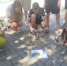 img - Администрация Крымского района
