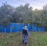 Пьяного алиментщика приставы нашли в сарае под Новосибирском - КП-Новосибирск