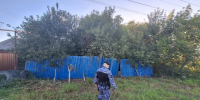 Пьяного алиментщика приставы нашли в сарае под Новосибирском - КП-Новосибирск