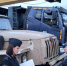 Волгоградская правда - Газета Волгоградская правда