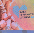 21 августа в Твери состоялся II слет гуманитарных штабов Тверской области, который стал местом для открытого диалога, обмена опытом и укрепления взаимодействия между участниками гуманитарной деятельности. В мероприятии приняли участие глава региона Виталий Королев, депутат Госдумы РФ, руководитель Тверского добровольческого центра «МЫ ВМЕСТЕ» Юлия Саранова, председатель Законодательного Собрания Тверской области Сергей Голубев, представители федеральных, муниципальных и региональных органов власти, руководители и активисты гуманитарных штабов Тверской области, молодежных патриотических организаций, участники СВО и ветераны боевых действий, воспитанники военно-патриотических клубов, участники волонтерского движения. УФСИН России по Тверской области представляли начальник генерал-майор внутренней службы Александр Кузьмин и сотрудники Управления. На слете был представлен широкий спектр работы, которую выполняют муниципальные штабы. Состоялась церемония награждения самых инициативных представителей волонтерского движения региона. Также были организованы выставки, посвященные проектам по оказанию помощи участникам СВО, их семьям, пострадавшему гражданскому населению. Кроме того, участники увидели презентацию новых программ поддержки гуманитарных штабов Тверской области. С начала специальной военной операции УФСИН России по Тверской области активно взаимодействует с благотворительными и волонтерскими организациями, участвует в оказании гуманитарной помощи российским военнослужащим, участвующим в СВО, и мирным жителям пострадавших регионов. - УФСИН