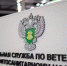 О вреде амброзии трехраздельной - Минсельхоз КБР