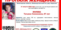 Идут поиски устюжанки Татьяны Молевой - Вологда-поиск