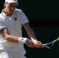 Первая ракетка мира Синнер снялся с US Open из-за травмы колена - M24.Ru