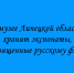 В музеях Липецкой области представлены экспонаты, рассказывающие об истории русского флота. - Народное слово