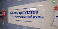 Эксперты: в Татарстане только две партии проходят 5 процентный барьер - ТРК Татарстан-Новый век