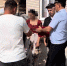 Полицейские провели рейды по цыганским таборам - 168.Ru