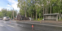 В Ленобласти возбудили уголовное дело после ДТП с 13 пострадавшими - Петербургский дневник