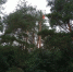 background - Cher-Poisk.Ru