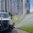 саратов_трава_лето_жара_полив - Novosti-Saratova.Ru