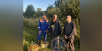 Двое грибников заплутали в лесу под Кировском - ЛенТВ24