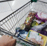 Фото: PRIMPRESS | С 1 сентября цены рухнут: четыре продукта подешевеют в 3–4 раза - PrimPress.Ru