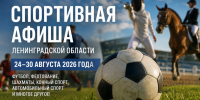 Спортивные соревнования в Ленинградской области. На фото - символическая спортивная сцена с футболом, фехтованием и конным спортом. - SyasNews.Ru