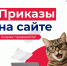 Срочная новость: вы поступили! - Технологический университет