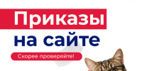 Срочная новость: вы поступили! - Технологический университет