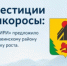 Инвестиции в дикоросы: АНО «АПИРИ» предложило Верхнебуреинскому району новую точку роста - Верхнебуреинский район