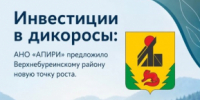 Инвестиции в дикоросы: АНО «АПИРИ» предложило Верхнебуреинскому району новую точку роста - Верхнебуреинский район