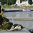Фото: https://www.penza-gorod.ru - Penza-Post.Ru