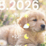 ViyZ-g8XMzU6762tdtqn43GKD7vqDD0vgNBB6WzHs7xR8cPLW2nT1W-vPYpDNLMZ8OvTpsNtZWnx7g3L7GR4DAX1 - ЗА Новомосковск