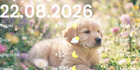 ViyZ-g8XMzU6762tdtqn43GKD7vqDD0vgNBB6WzHs7xR8cPLW2nT1W-vPYpDNLMZ8OvTpsNtZWnx7g3L7GR4DAX1 - ЗА Новомосковск