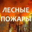 НОВЫЙ ЛП Лесной пожар №49 обнаружен 22.08.2026г в 08:00  39 км от гп. Северо-Енисейский, S=2 Га. Северо-Енисейское  лесничество, угрозы н.п нет.. - Северо-Енисейский муниципальный округ