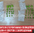 пост 4 - Cityopen.ru