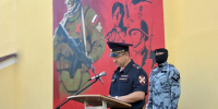 В Самаре ко Дню Государственного флага отрыли мурал на здании регионального управления Росгвардии - Росгвардия