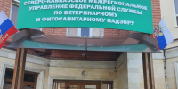 В День Государственного флага в Северо‑Кавказском межрегиональном управлении Россельхознадзора прошли патриотические мероприятия - Россельхознадзор