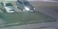 Возбуждено уголовное дело о смерти 13-летней девочки под колесами иномарки в Воронежской области - Bloknot-Voronezh.Ru