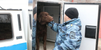 В Башкирии у бутлегера изъяли 10 тысяч литров алкогольной продукции - Сетевое издание Республика Башкортостан