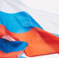 День Государственного флага - Филиал СГТУ в г. Петровске