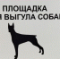 Мэр курского Железногорска высказался против площадок для выгула собак в микрорайонах города - Курские Известия