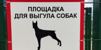 Мэр курского Железногорска высказался против площадок для выгула собак в микрорайонах города - Курские Известия
