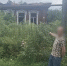 В Кулебаках задержали подозреваемого в четырех поджогах с ущербом 3,4 миллионов рублей - ProGorodNN.Ru