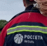 Последствия штормового ветра в регионе устраняют 28 бригад энергетиков (видео) - NewKaliningrad.Ru