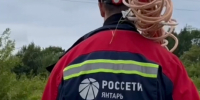 Последствия штормового ветра в регионе устраняют 28 бригад энергетиков (видео) - NewKaliningrad.Ru