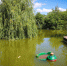 IMG_9033 - Сетевое издание Арбуз