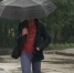 16 бригад энергетиков устраняют локальные технологические нарушения в Калининградской области - Калининградская ГТРК