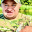 Рыбак из соседнего для кировчан региона бьет тревогу из-за рыб-мутантов - ProGorod.Ru