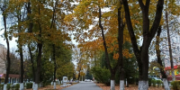 Новомосковск осень - ЗА Новомосковск