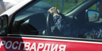 В Оренбурге росгвардейцы задержали несовершеннолетнюю, причастную к серии хищений алкоголя из магазина - Росгвардия