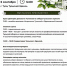 В Тульском кремле состоится юбилейная благотворительная акция «Белый цветок» - ТК Первый Тульский
