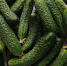 Когда узнала этот рецепт, огурцы стала собирать по соседям: вкуснейший салатик из баварского кафе - пальчики оближешь - Город Киров