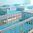 901ynxzbdfzrklfqd238ypr81cuk463y.jpeg - Primorye24.Ru